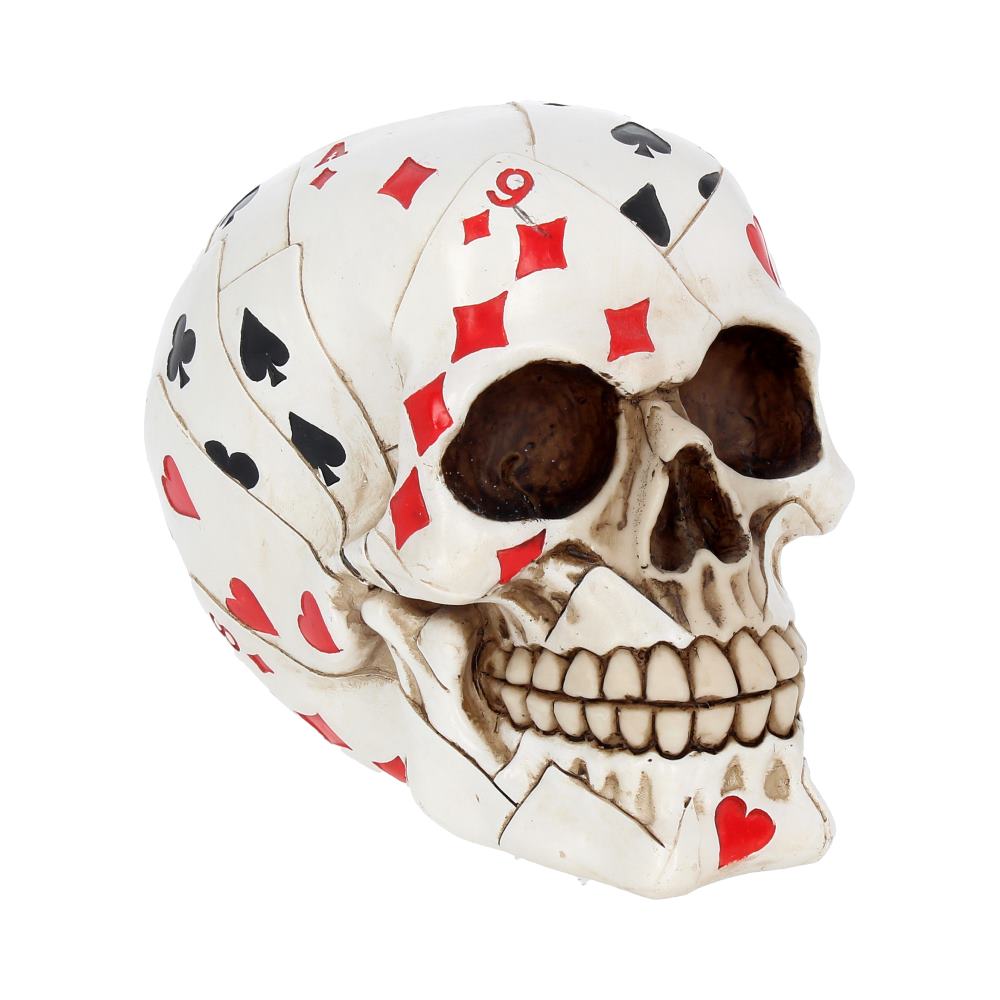 Beautifully crafted realistic human skull.
