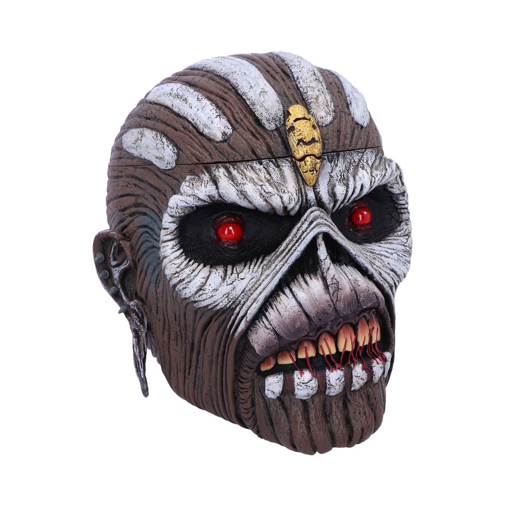 Officially Licensed Head Box.
