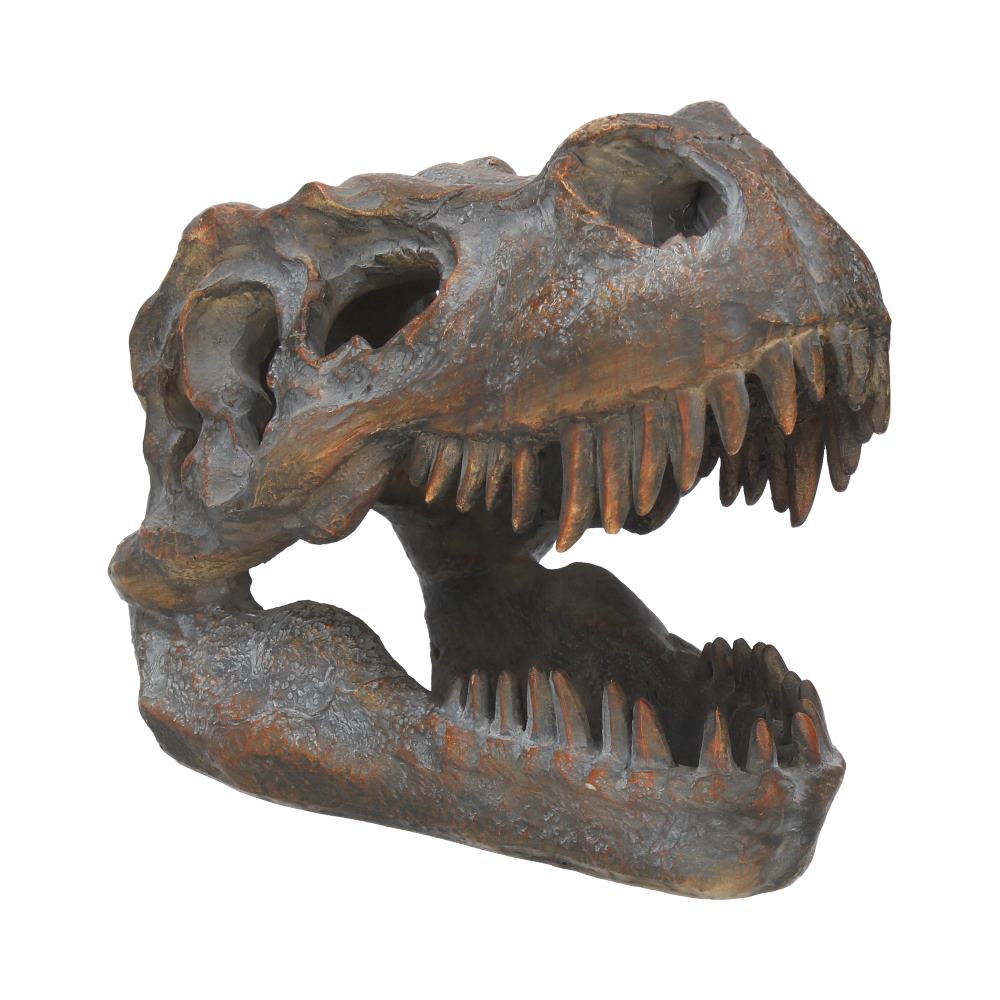 Have the skull of the lizard king displayed proudly in your home with this dinosaur skull.