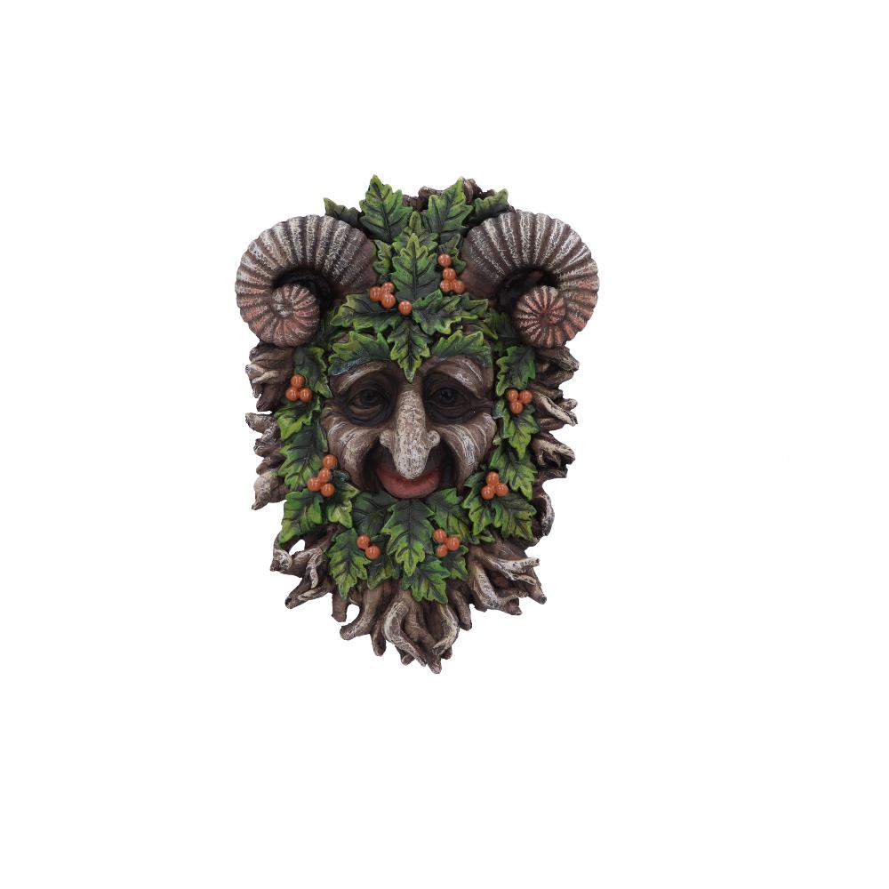 Wall mounted Tree Spirit.