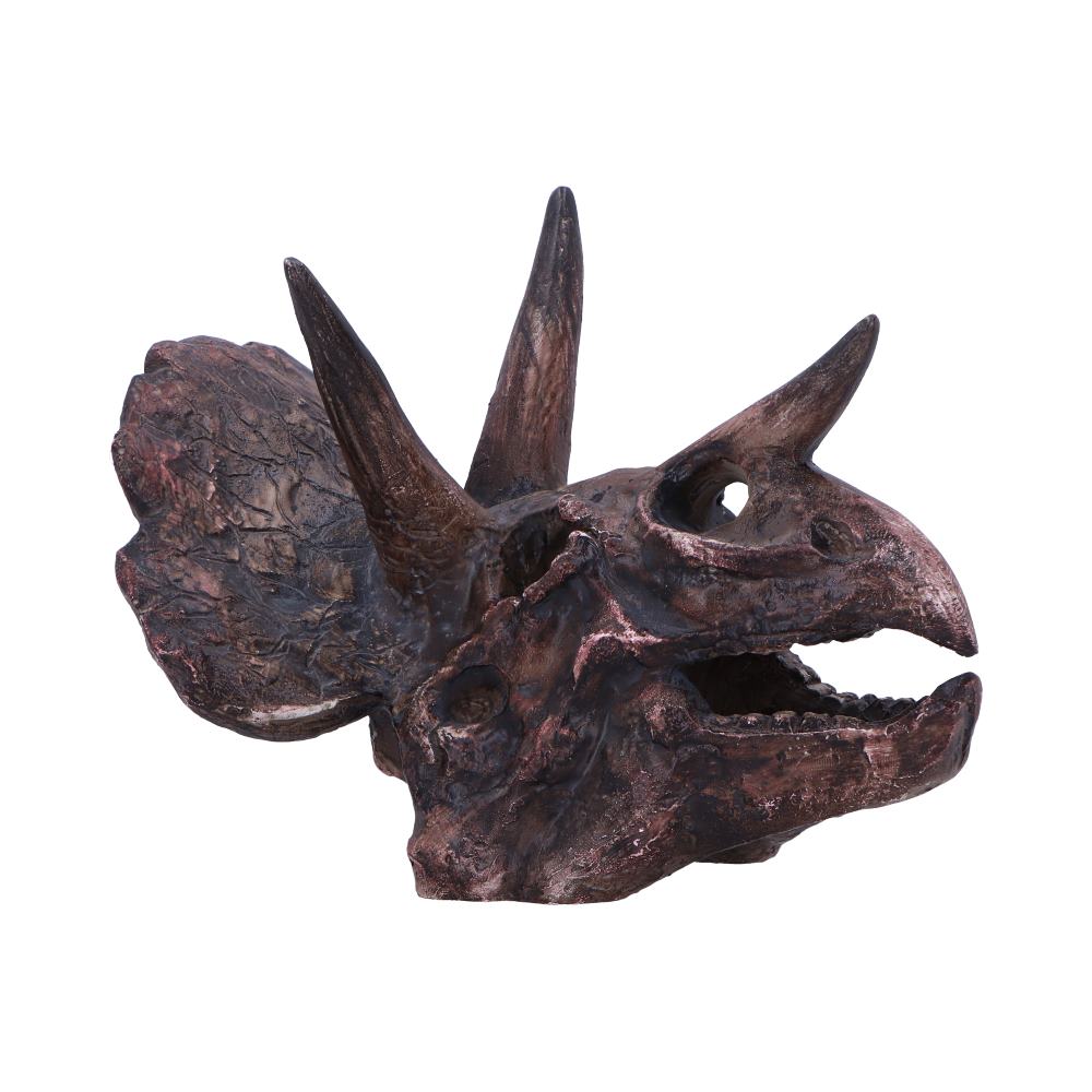 Realistic Triceratops skull replica inspired by the iconic three-horned dinosaur