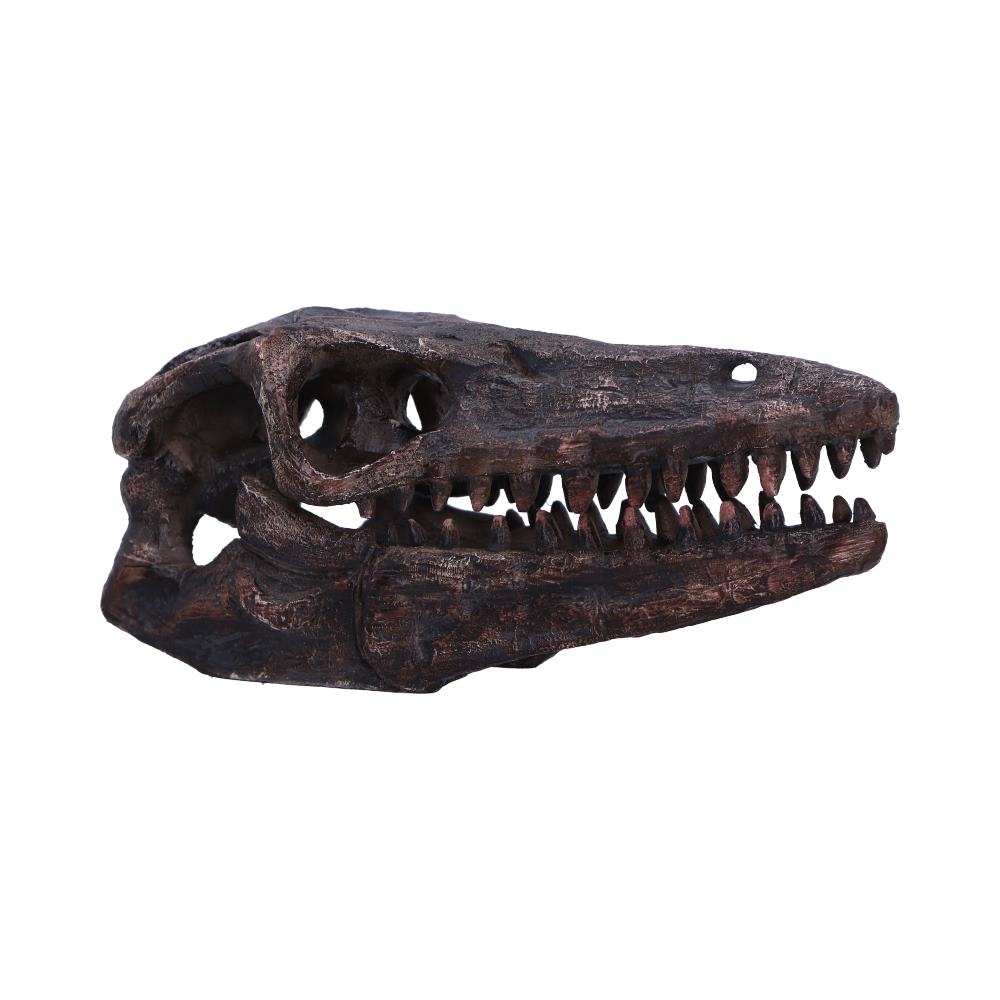 Scientifically accurate representation of a pivotal evolutionary species