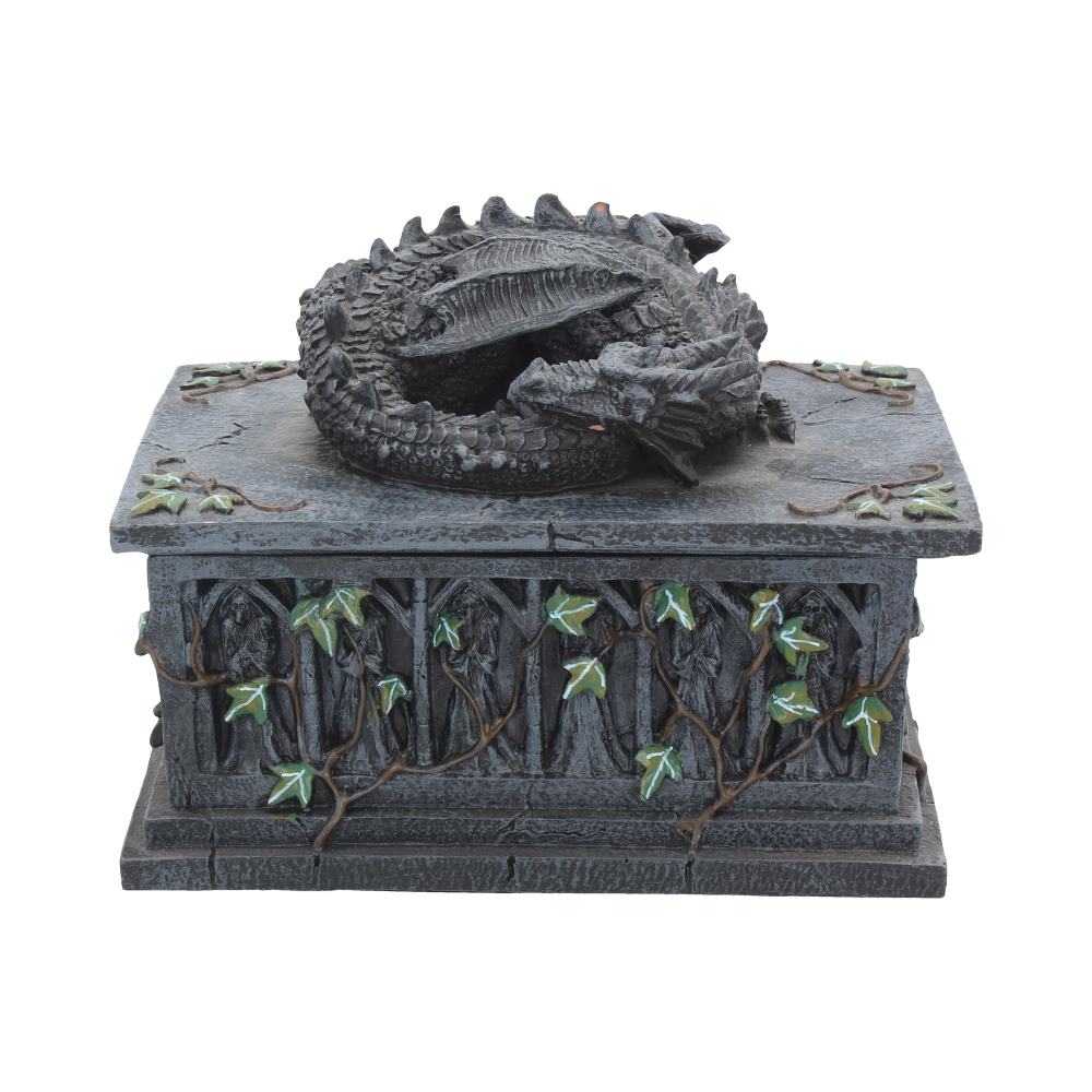 Keep your tools of prophecy safe in style with this draconic Tarot box.