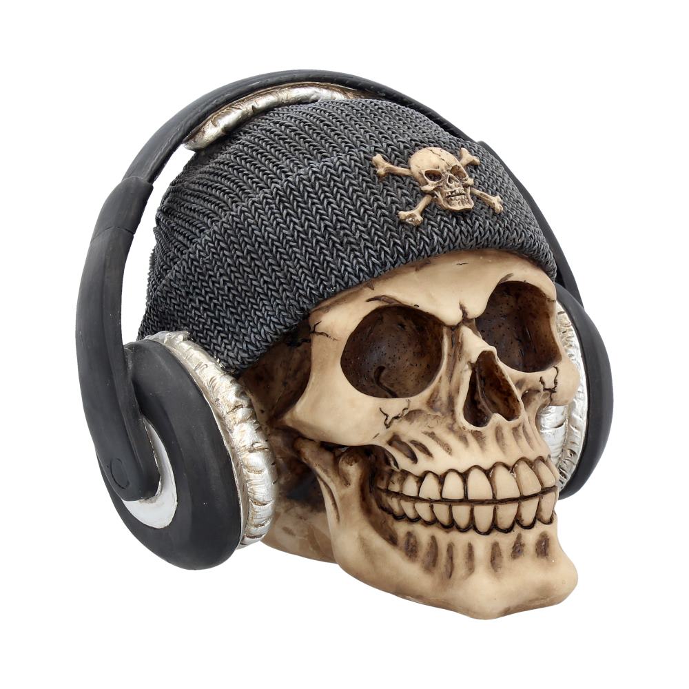 Headphones skull