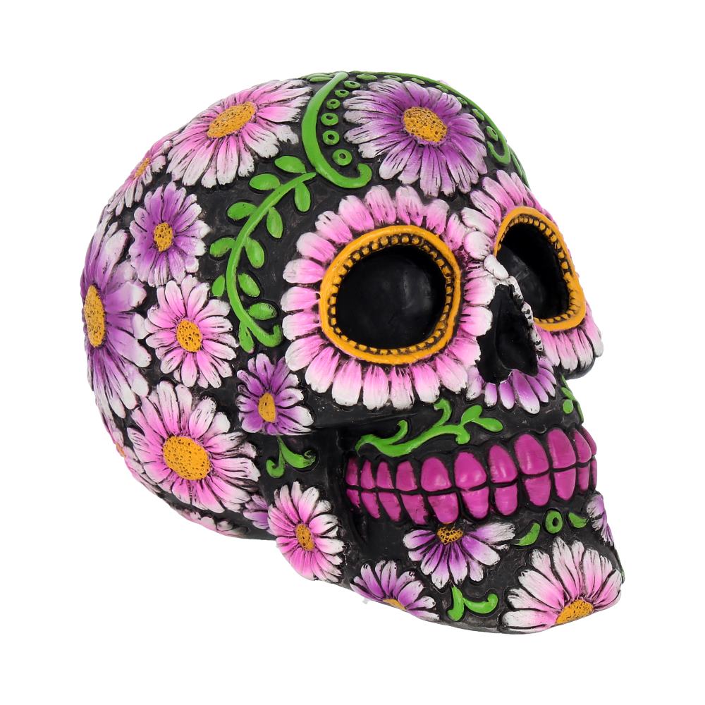 Calavera skull