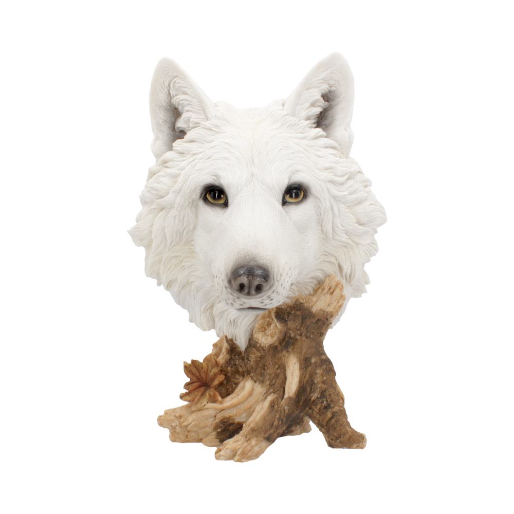 Wild Wolf Bust