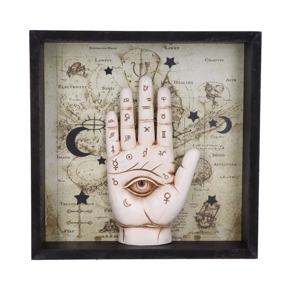 Framed Chiromancy Wall Mounted Art.