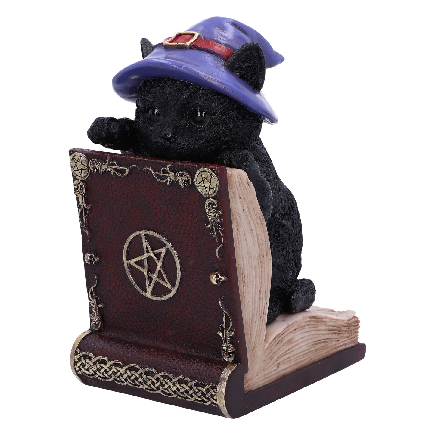 Peek-a-boo Witch Cat