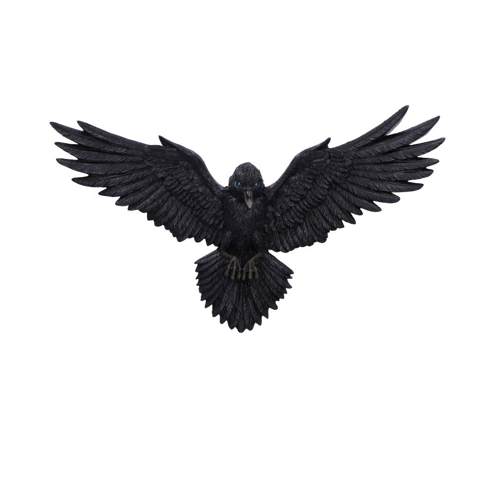 Striking black raven wall plaque with a 36cm wingspan