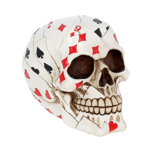 Beautifully crafted realistic human skull.