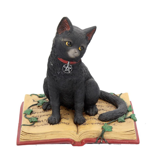 A cute companion for the witch in your life.