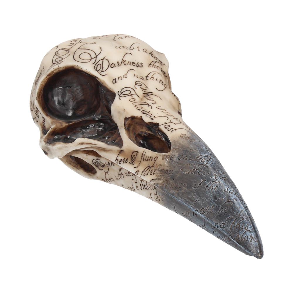 Beautifully crafted Raven Skull.