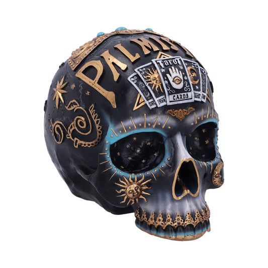 Palmistry skull.