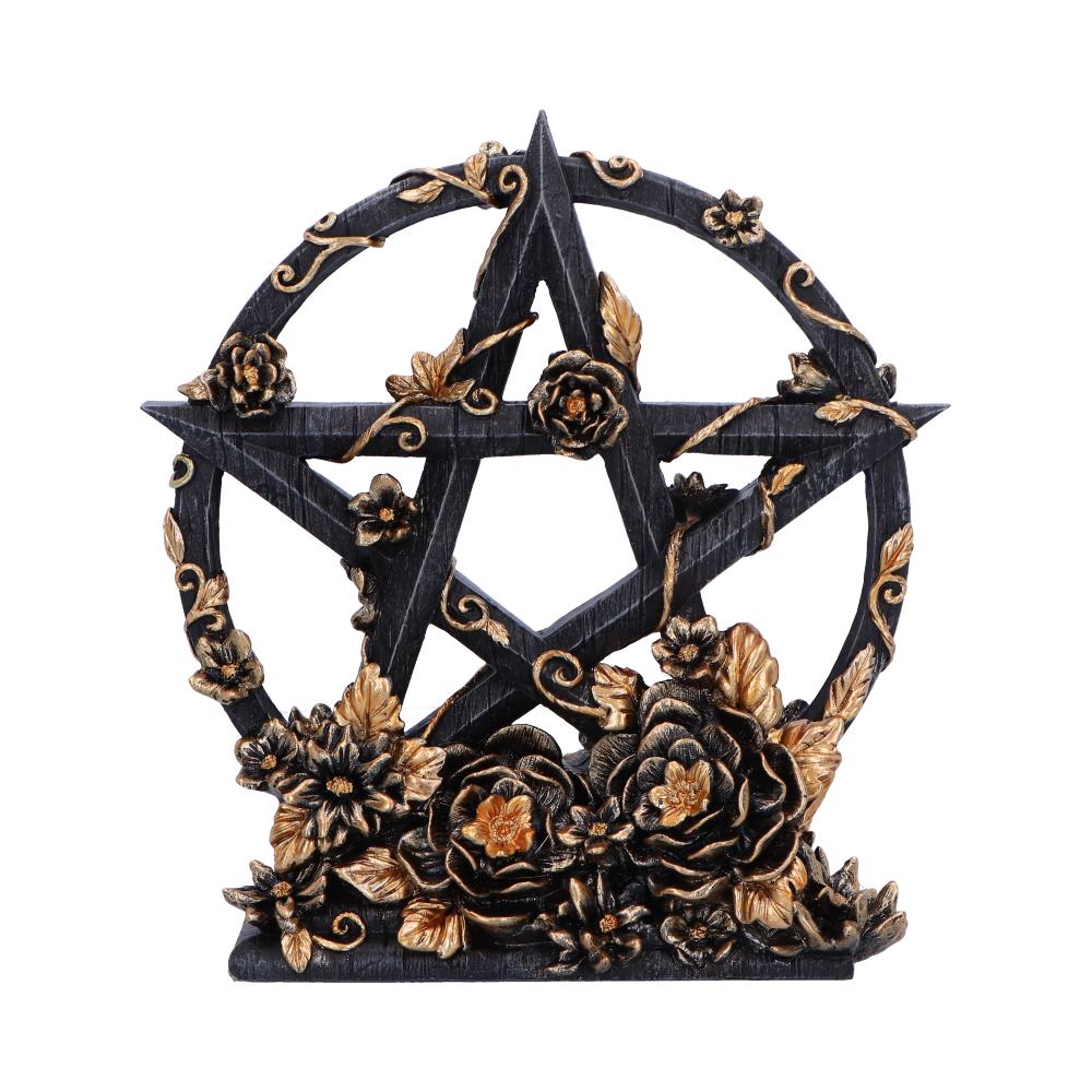 Dark floral pentagram decorative ornament