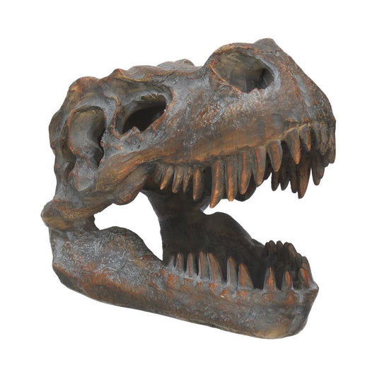 Have the skull of the lizard king displayed proudly in your home with this dinosaur skull.