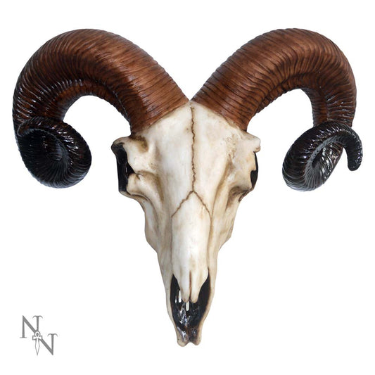 Beautifully detailed faux Rams Skull.