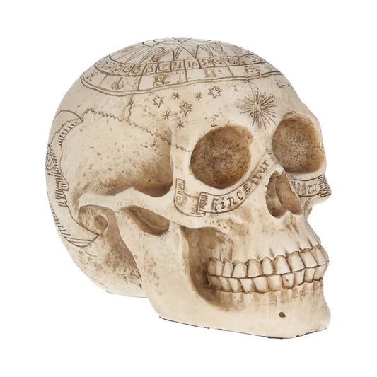 Star Sign Skull