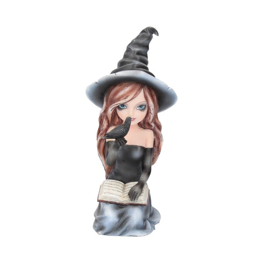 Dark Witch Figure.