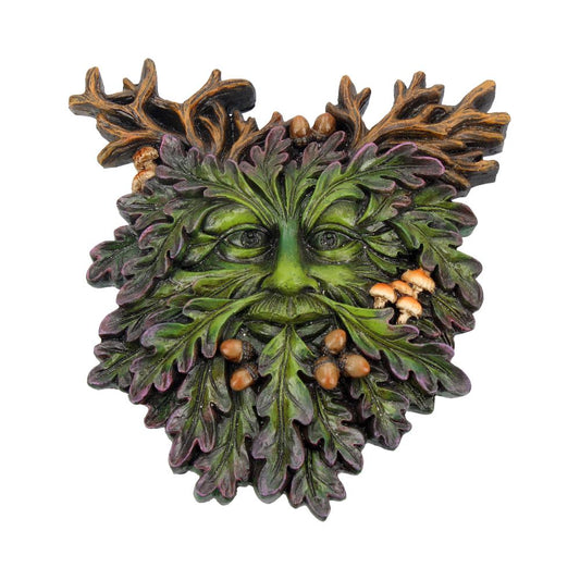 Beautifully crafted Tree Spirit Wall Plaque