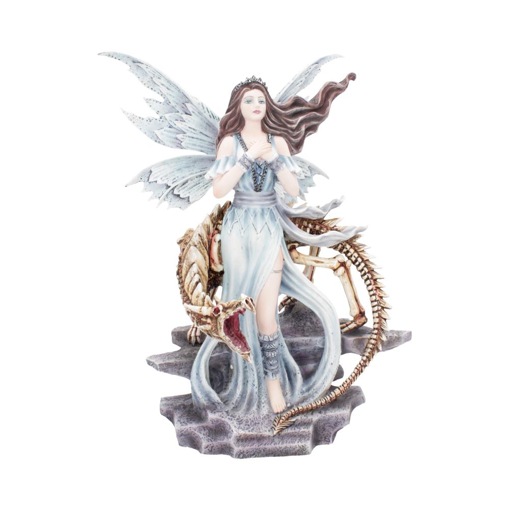 Dragon companion