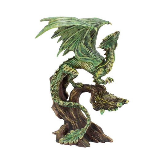 Age of Dragons