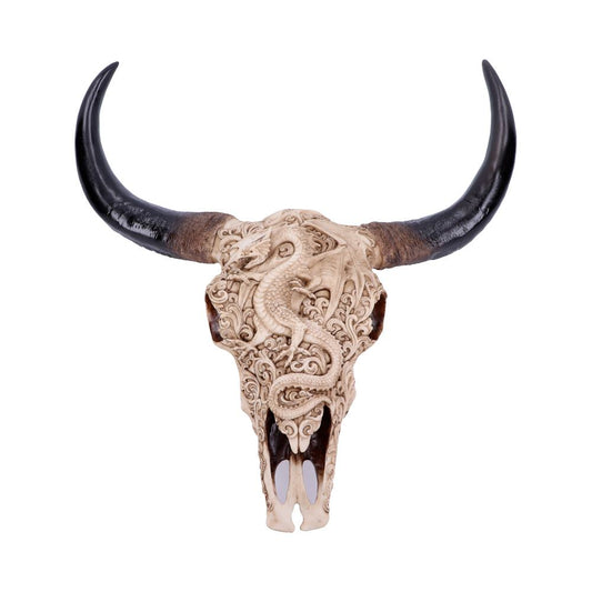 Carved Dragon Animal Skull.