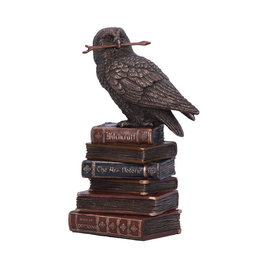 Witches Familiar Owl on Book Figurine.
