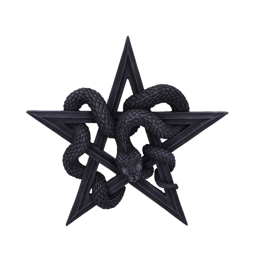 Snake wall plaque.