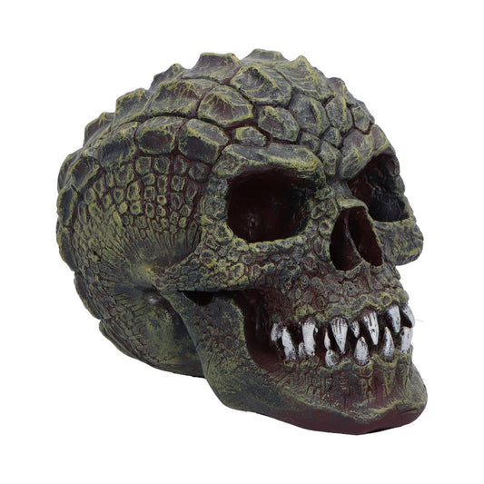 Reptile Skull