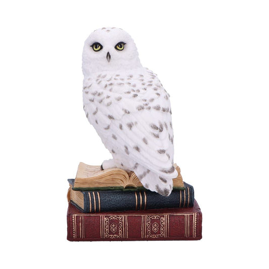 Library of Wisdom owl figurine