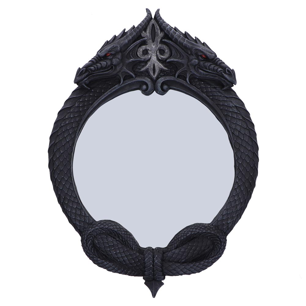 Reflector dragon mirror