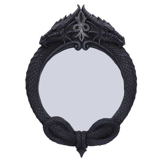 Reflector dragon mirror