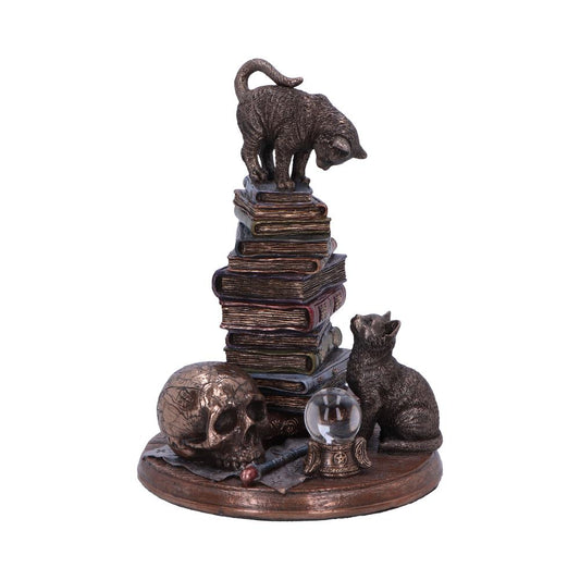 Bronze cats with books ornament