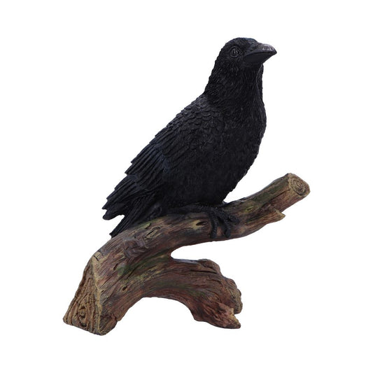 Detailed black raven figurine