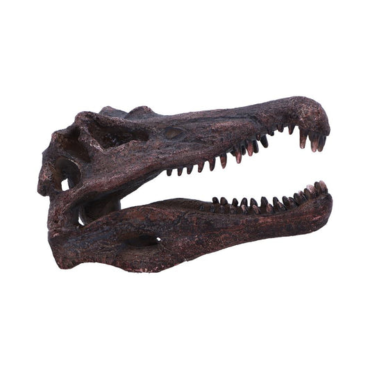 Authentic fossil-style Spinosaurus skull replica inspired by the largest carnivorous dinosaur