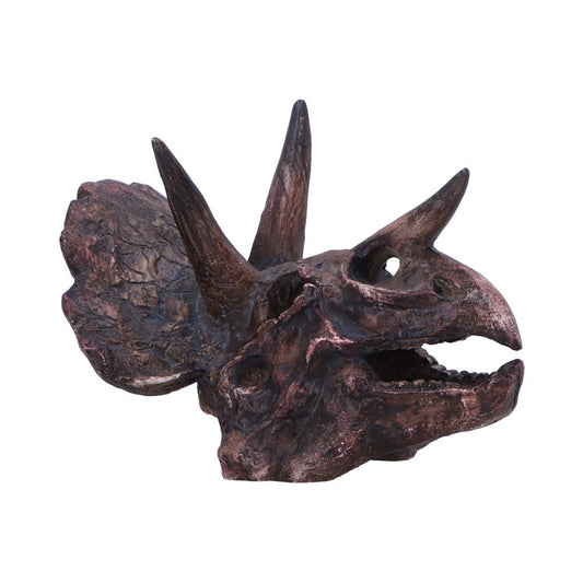 Realistic Triceratops skull replica inspired by the iconic three-horned dinosaur