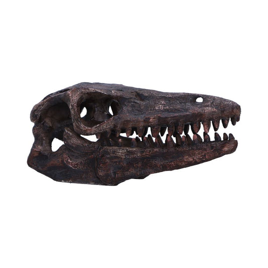Scientifically accurate representation of a pivotal evolutionary species