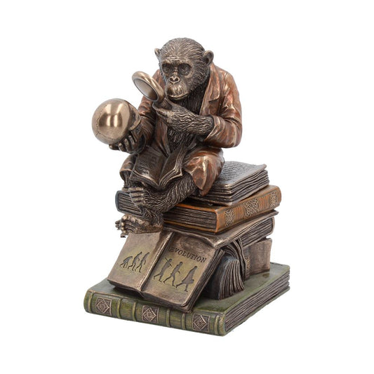 Bronze Darwinism Figure.