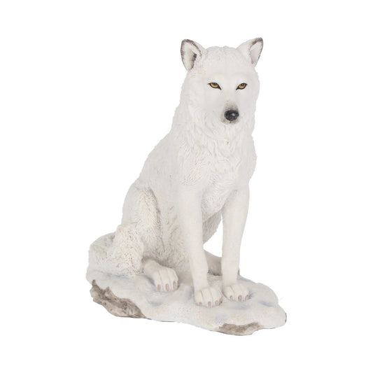This majestic wolf embodies the independence of the far north.