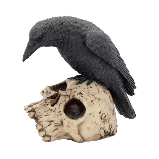 Raven and Skull Figurine