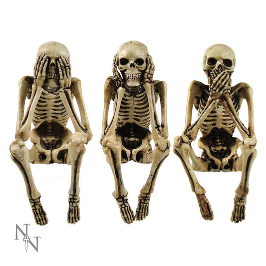 Liven up any shelf with these 3 wise skeletons.