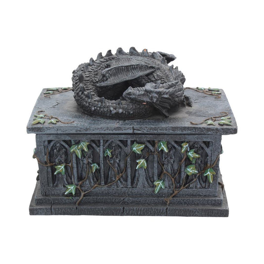 Keep your tools of prophecy safe in style with this draconic Tarot box.