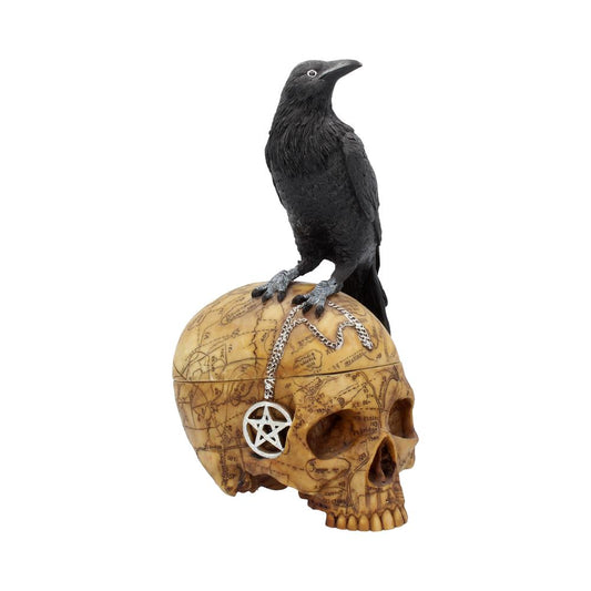 Gothic Raven and skull box.