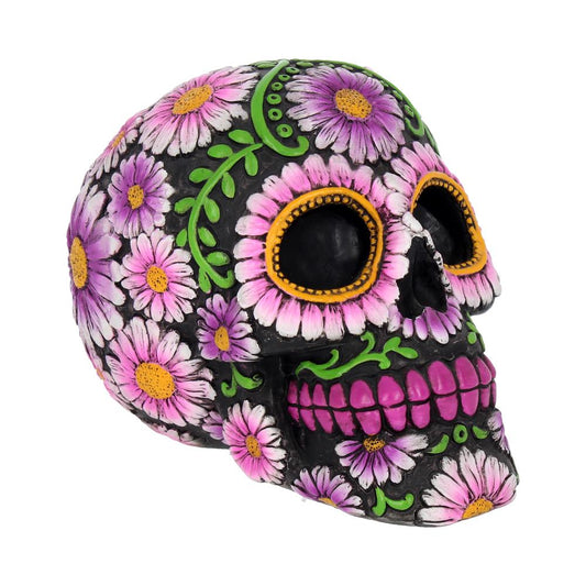 Calavera skull
