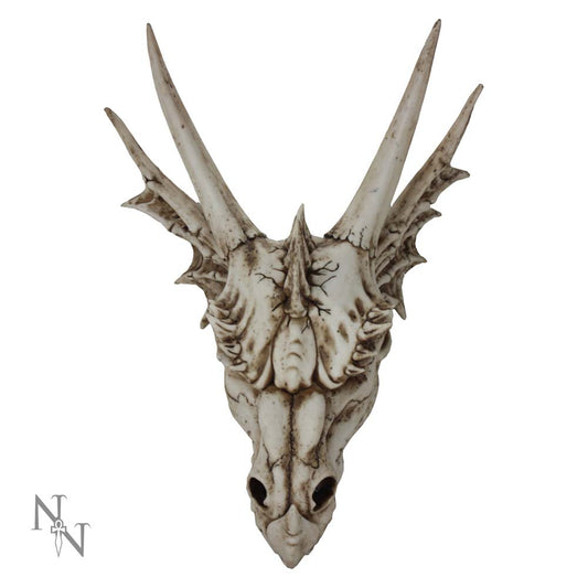 Large realistic Dragon Skull.