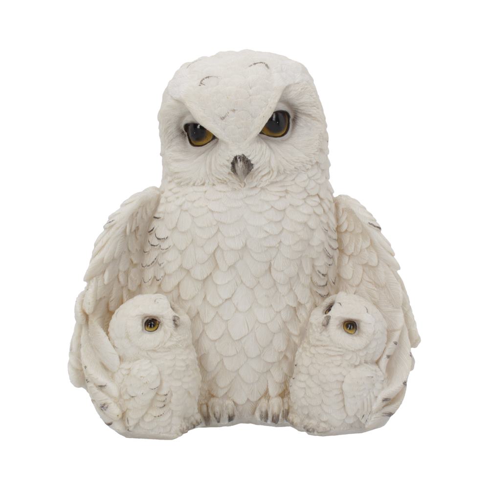 Beautiful Snowy Owl trio