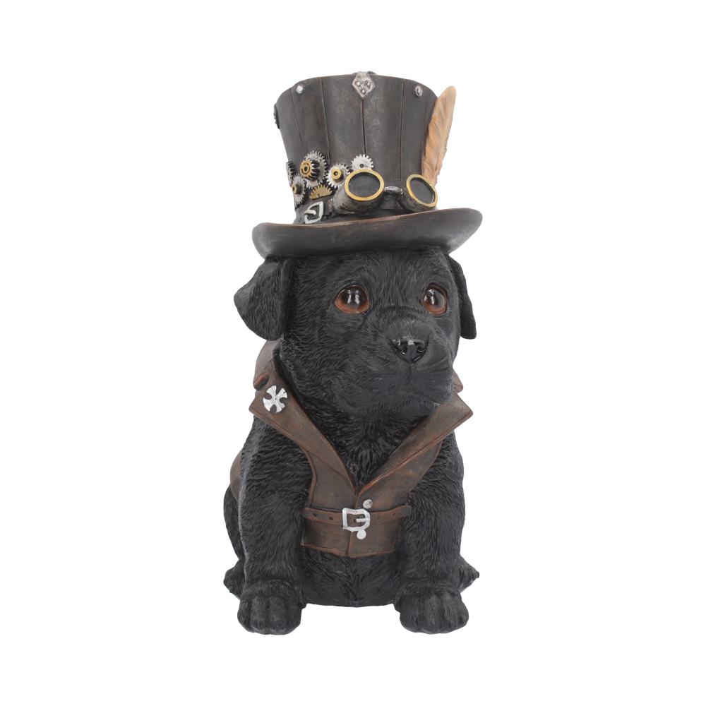Adorable Steampunk Dog.