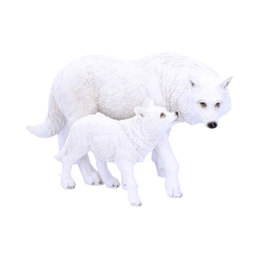 A pair of Wolves walk through the Winter Forest.