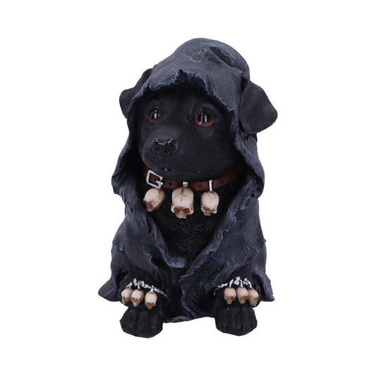 This black dog is the Grim Reaper's best pal!