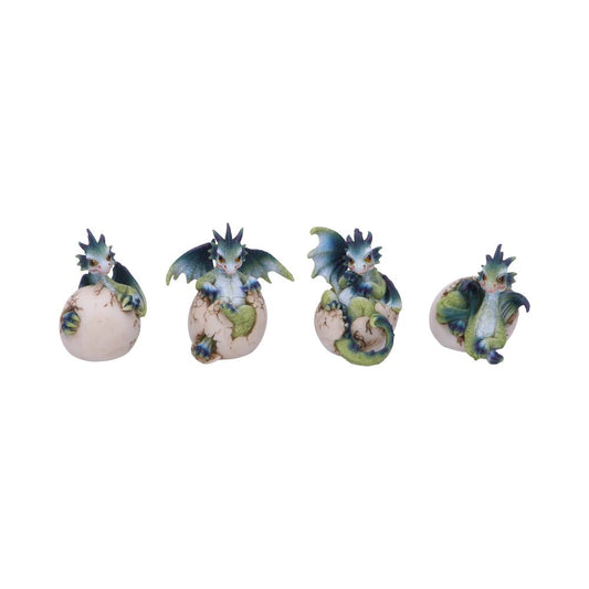 These small Green and Blue Dragons are just hatching from their eggs.
